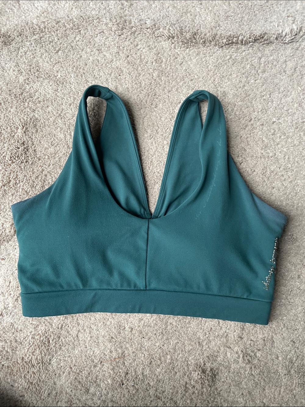 Whitney Simmons x Gymshark Sports Bra